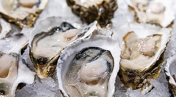 水產(chǎn)干貨